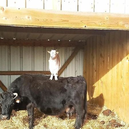 Ma Roulotte Adoree Bissieres Dış mekan fotoğraf